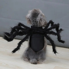 Halloween Spider Costume for Pets