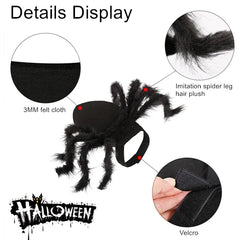 Halloween Spider Costume for Pets